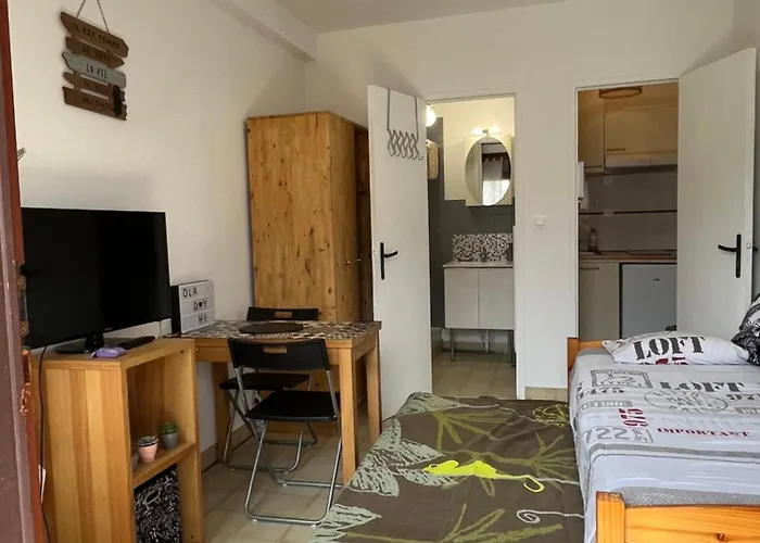 Studio Entre Centre Et Facultes 公寓 *